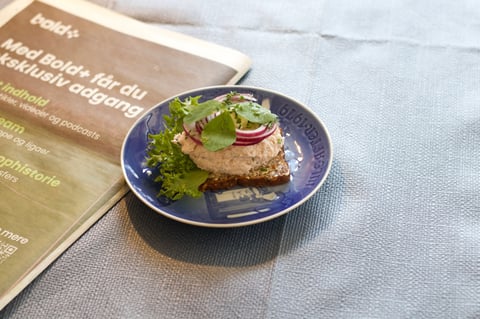 Open cookbook next to blue plate with open-faced sandwich topped with leafy greens and red onion on gray linen